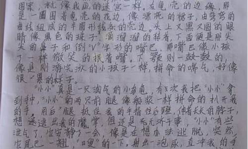 关于土地的作文800字高中_关于土地的作文800字高中议论文