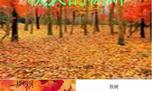 秋天的树叶作文400字初中作文大全_秋天的树叶作文400字初中作文大全怎么写