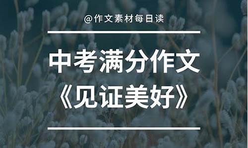 见证作文范文800字高中_见证作文范文800字高中生