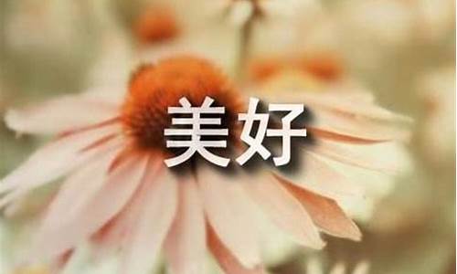 往事的作文300字左右_往事的作文300字左右怎么写