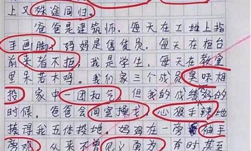 小学作文我的新老师