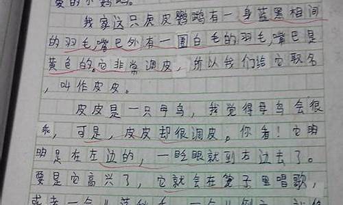 我和动物的作文600字初中说明文_我和动物的作文600字初中说明文怎么写