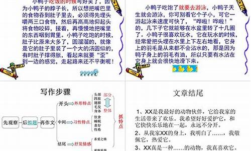 我的小动物作文500字_我的小动物作文500字作文